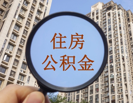 衡阳退休后查不到公积金明细了吗（退休后公积金查询不到原因）